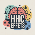 Illustration HHC effet sur cerveau et corps