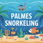 illustration palmes snorkeling choix et accessoires