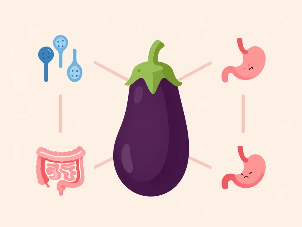 Schéma concept digestif et allergie aubergine