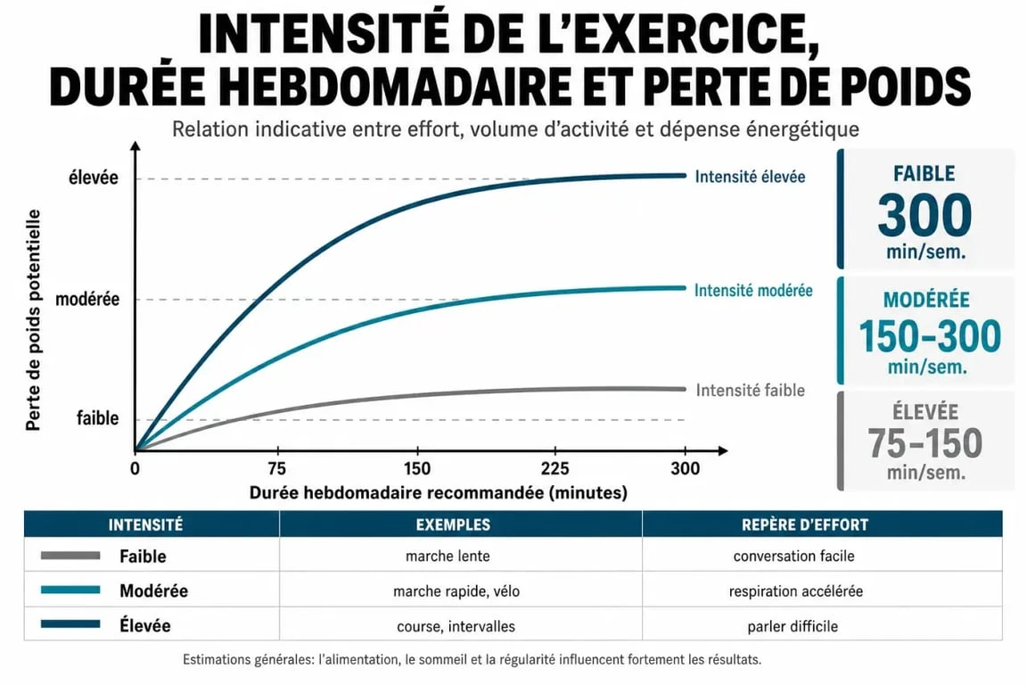 Infographie sur le programme pour maigrir par le sport : intensité et durée hebdomadaire