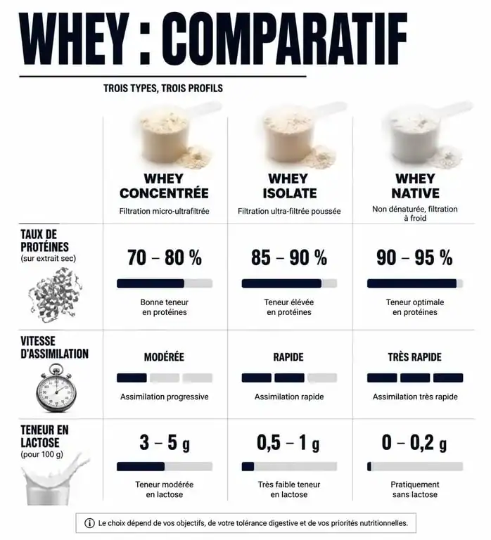 Comparatif des types de whey : concentrée, isolate et native pour choisir sa protéine