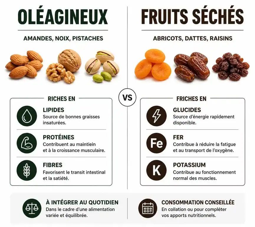Infographie comparative des profils nutritionnels des fruits secs pour la gestion du poids