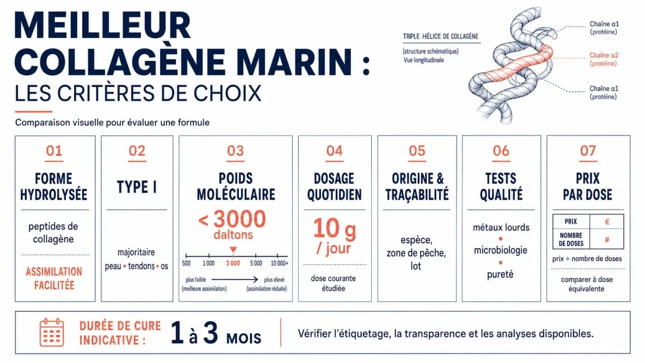 Infographie sur le meilleur collagene marin : critères de qualité, dosage et prix par dose